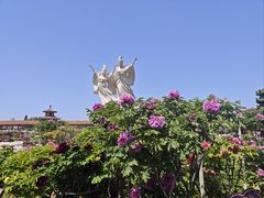 -曹州百花园