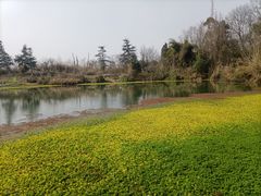 -桤木河湿地公园