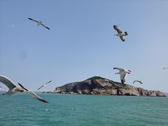 -海驴岛(荣成市)