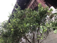 -屈原故里文化旅游区