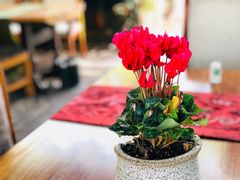 -漫渡庄绿岛花园•隐世庭园菜(滨湖店)