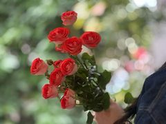 -大财·DA CAI花园餐厅.草坪婚礼.团建会议.围炉煮茶.求婚派对(三圣乡店)