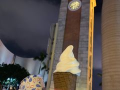 -富豪雪糕车流动点(尖沙咀店)