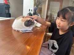 -有猫主题·治愈系猫咖(曾厝垵店)