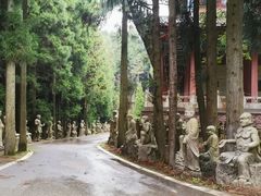 -武陵山森林公园