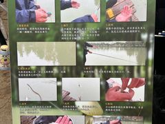 -乌村