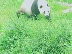 -沈阳森林动物园