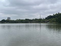 -顺峰山公园