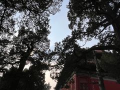 -孔庙和国子监博物馆