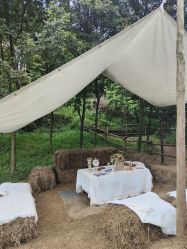 -花漾摄影优选工作室(东莞原创作品店)