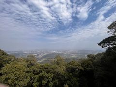 -黄埔油麻山森林公园