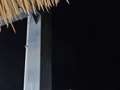 -渔家火锅·海鲜自助餐·演艺(亚龙湾天域酒店)
