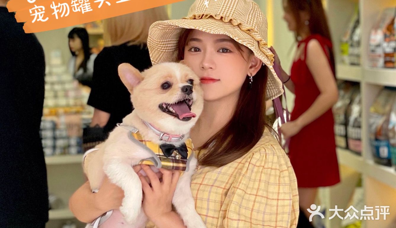 重庆探店丨重庆宠物店天花板罐头还五折❗🐶