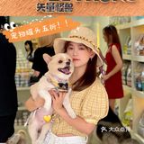 重庆探店丨重庆宠物店天花板罐头还五折❗🐶