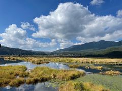 -腾冲北海湿地
