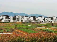 -东梓关景区村庄