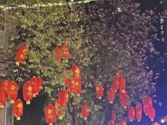 -越秀西湖花市(广州城市广场花卉店)