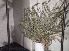 -Burn Fit燃炼健身工作室(新都旗舰店)