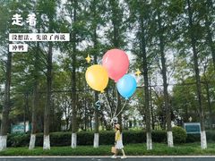 -上海杨姆庄园