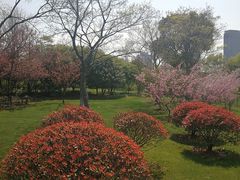 -尚贤河湿地