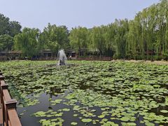 -潇湘甲鱼村(清河店)
