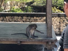 -乌鲁瓦图寺