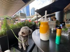 -gaga(深圳福田星河COCO Park店)