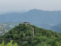-大岭沟猕猴桃谷风景区