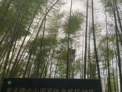 -缙云山景区