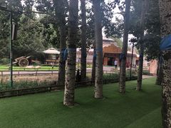 -蒙古大营(朝阳公园店)
