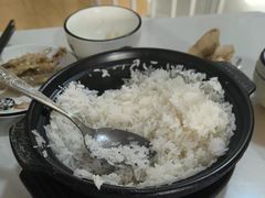 -煲来饱去冷水鱼