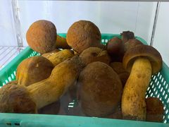 -双喜农庄·菌香园(安居家园店)