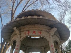 -玲珑塔公园