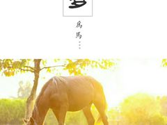 -南沙蒲洲花园