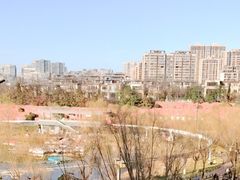 -西安曲江寒窑遗址公园