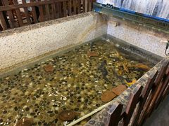 -白洋淀灶台鱼(名佳花园店)