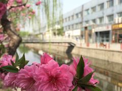 -元大都城垣遗址公园