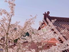 -龙宫洞风景区