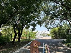 -同里国家湿地公园