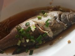 -优游吧斯邹族文化部落