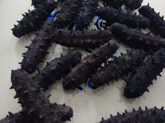 -宫品海参专卖店(黄浦老西门店)