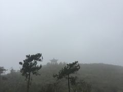 -泽雅景区