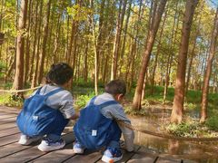 -桤木河湿地公园