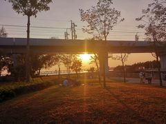 -宝安西湾红树林湿地公园