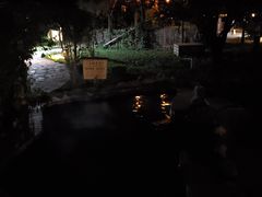 -河北霸州茗汤日月潭温泉