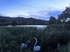 -山水一号·中餐厅