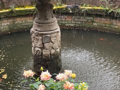 -Golden Lily河内巴黎法越料理餐厅(建国西路店)