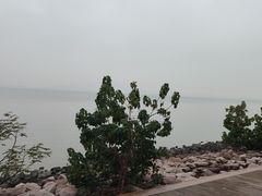 -深圳湾公园(南山区)
