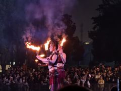 -武汉园博园(武汉自然博物馆)