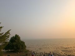 -深圳湾公园(南山区)